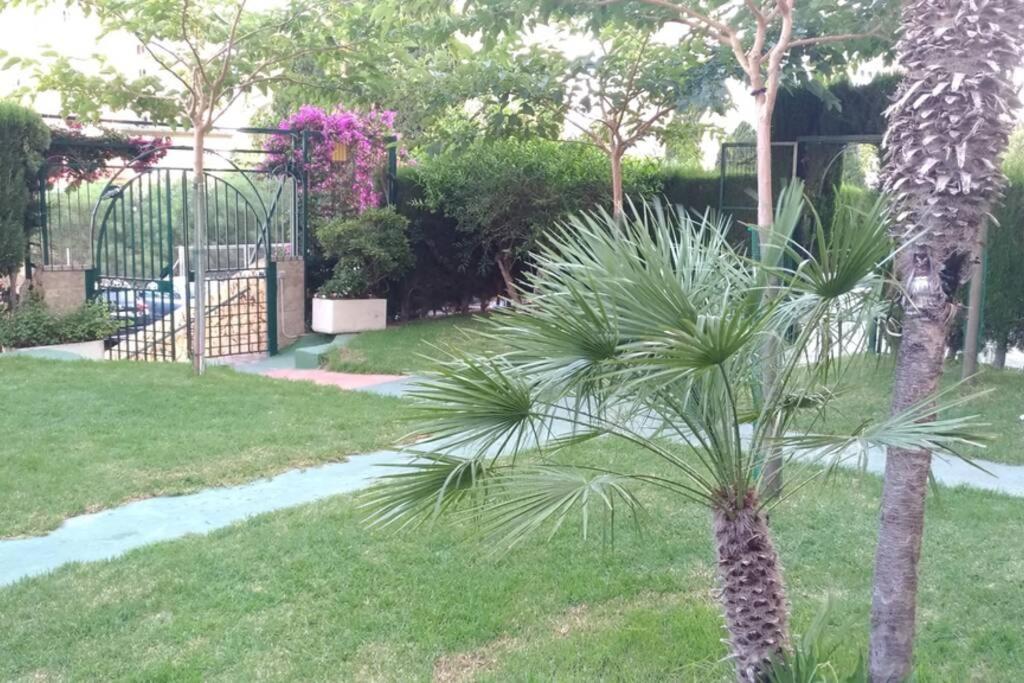 Apartamento Moderno Benidorm Exteriér fotografie